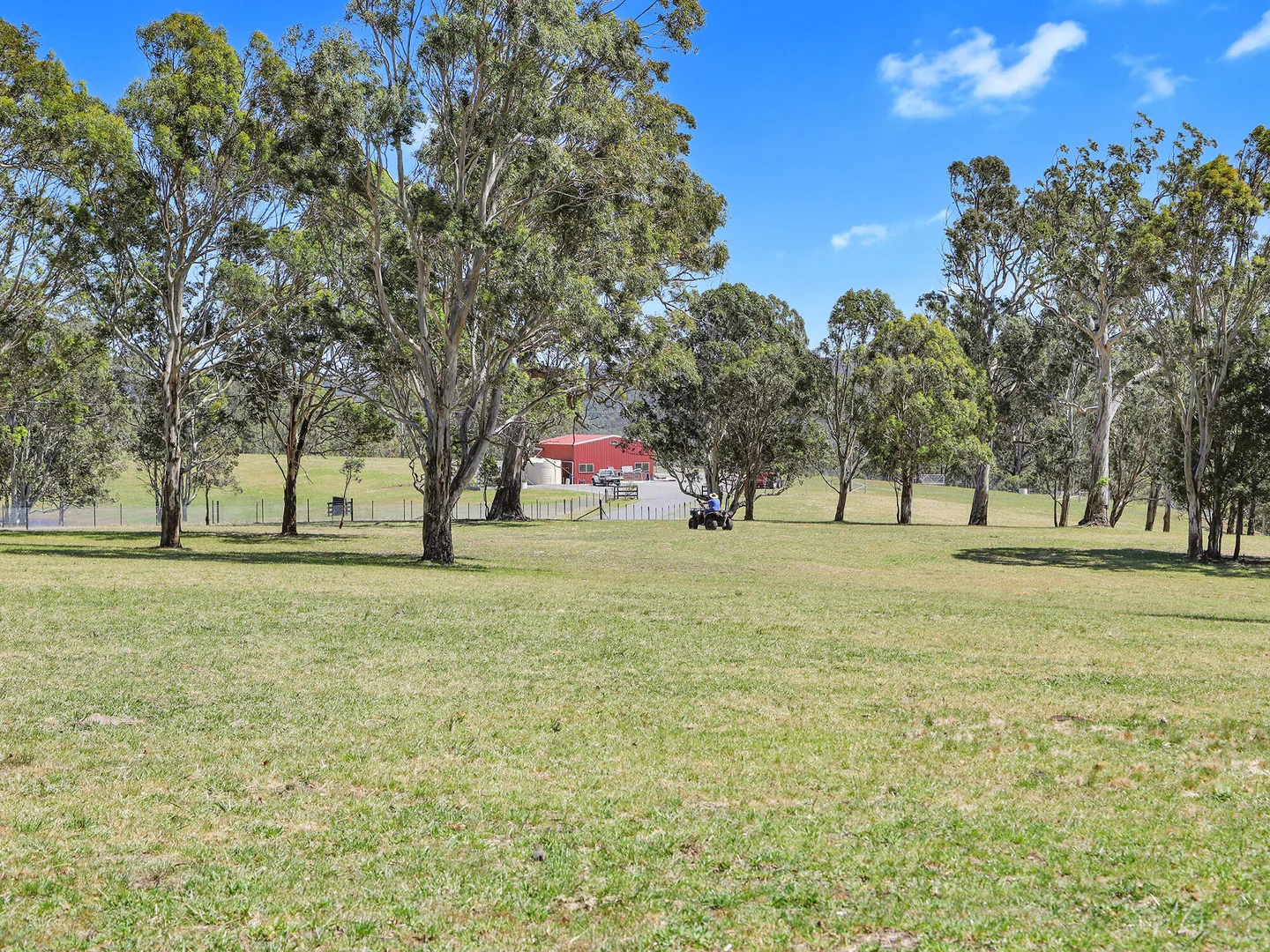 Image 12
