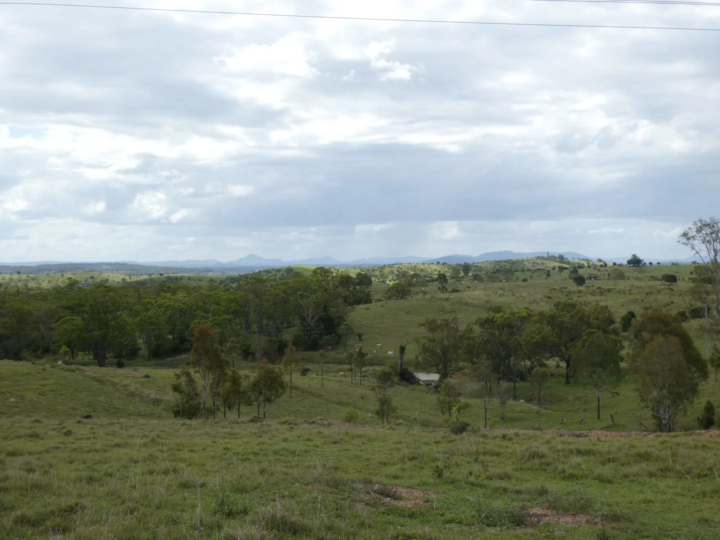 Image 21