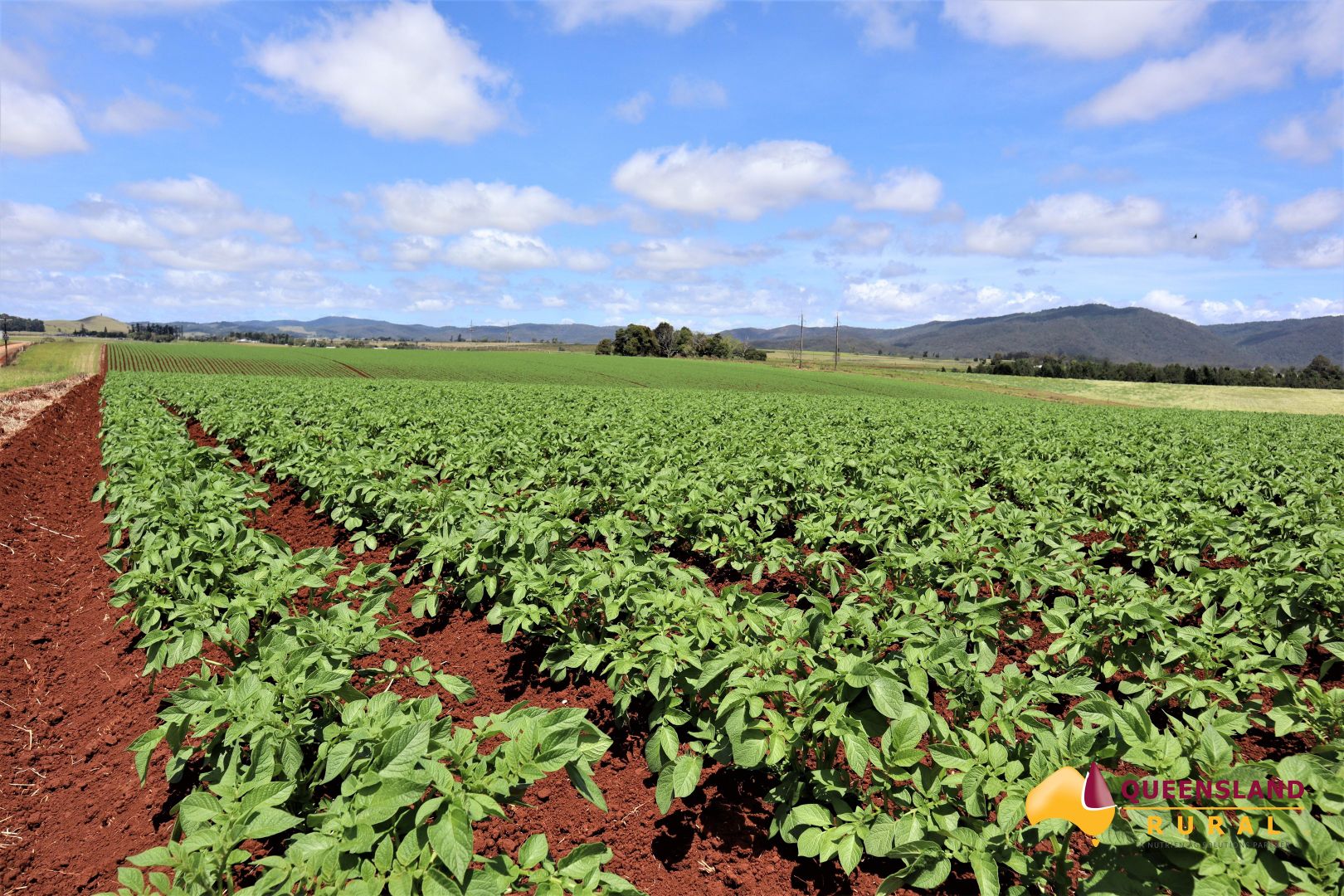 East Barron QLD 4883, Image 1