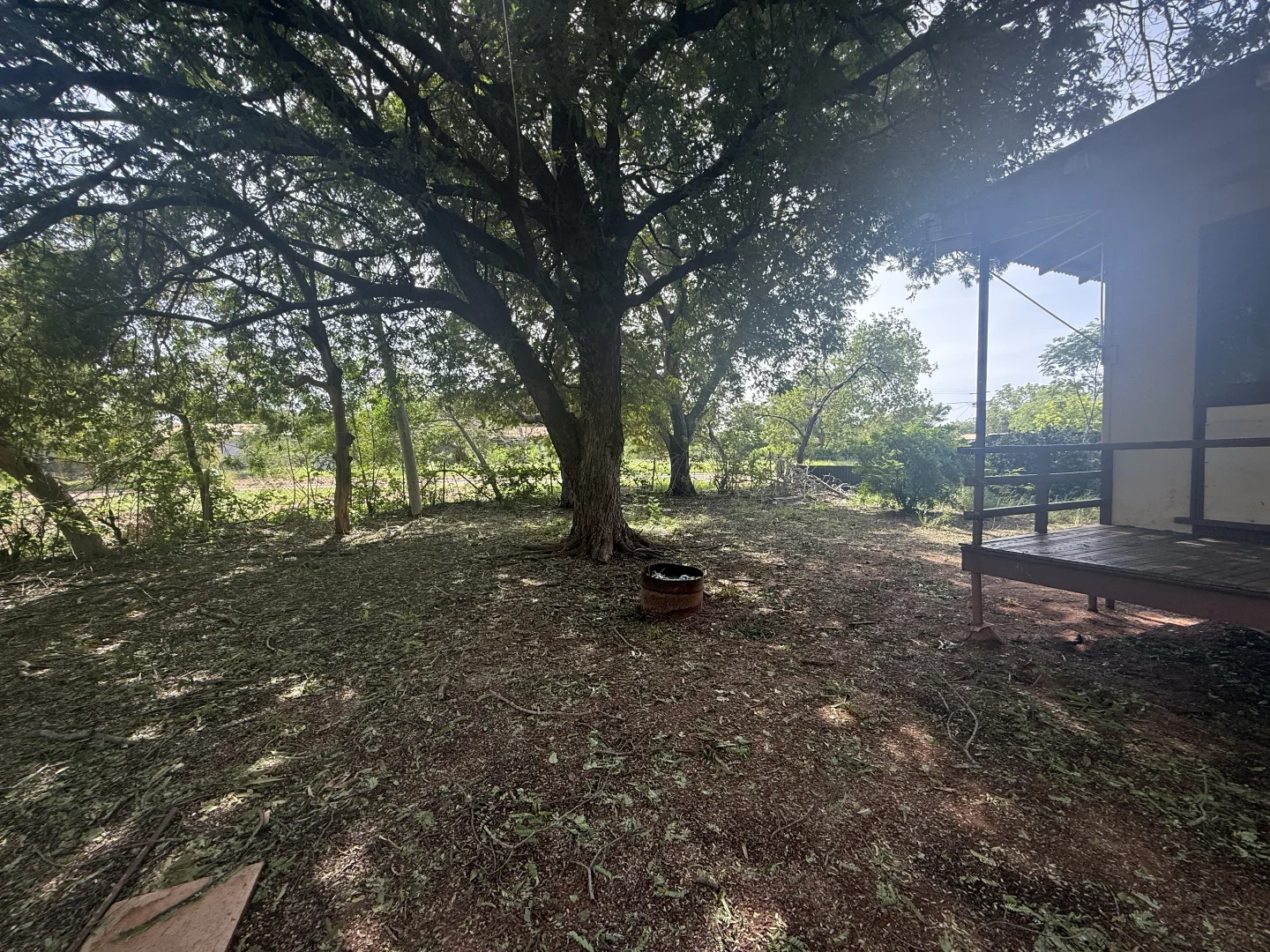 Image 11