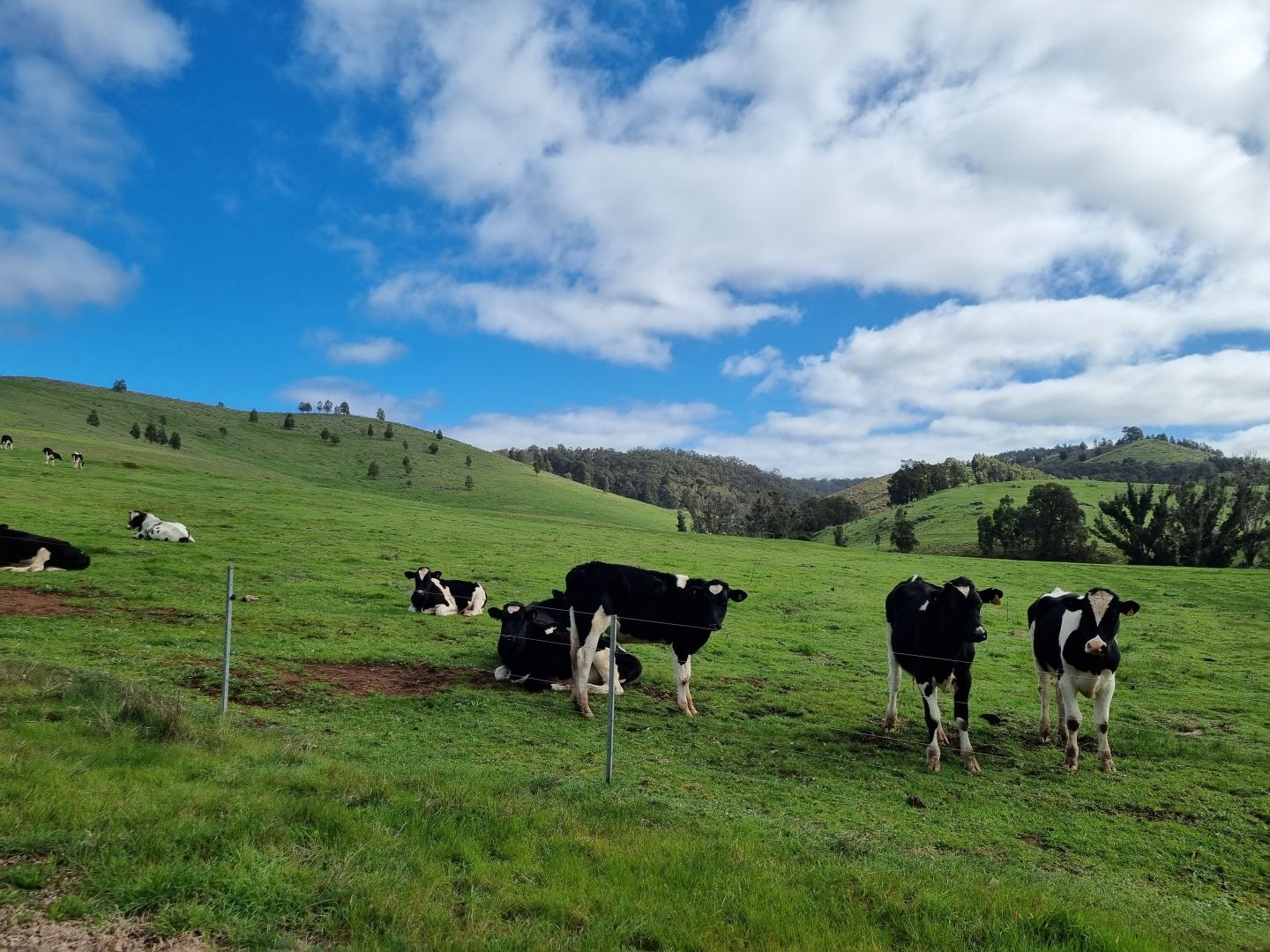 Portion of Cundinup-Dudinyillup Road, Nannup WA 6275, Image 1