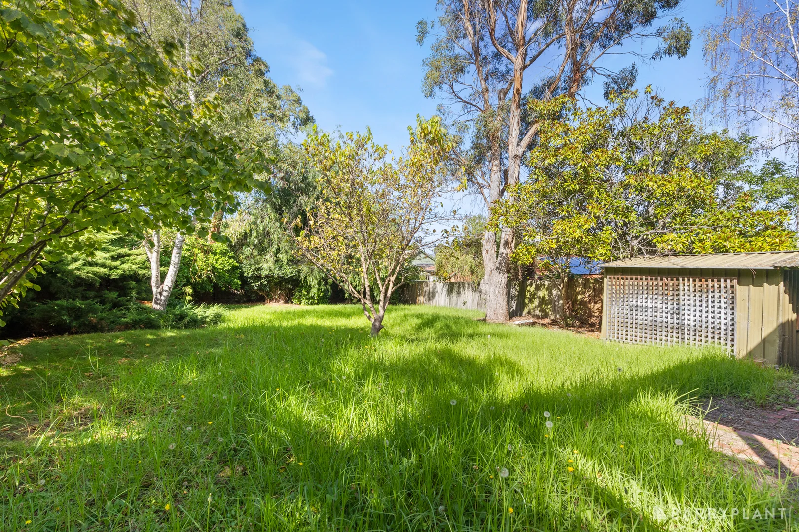 Additional image 10 of 39 Maidstone Street, Ringwood VIC 3134