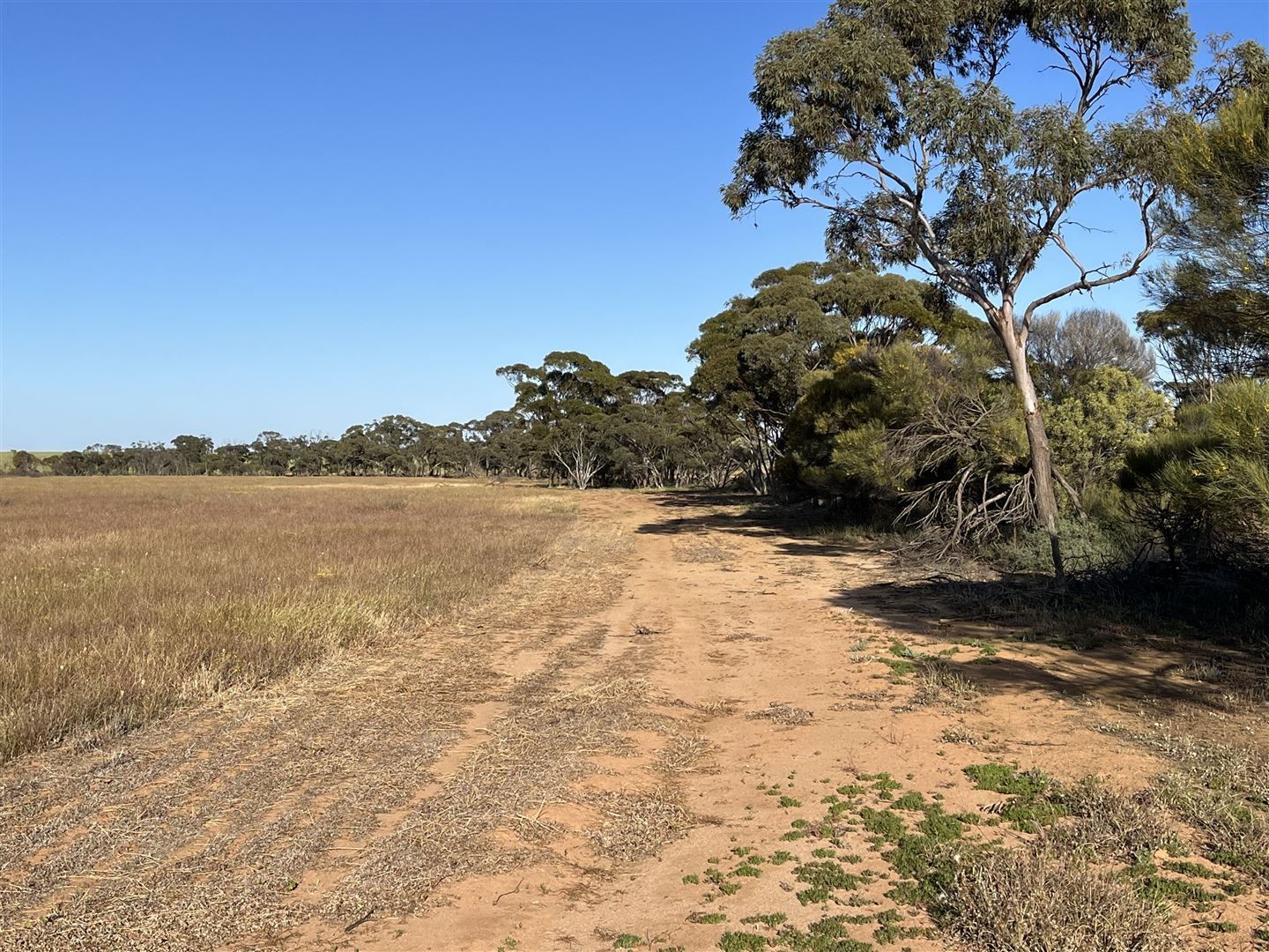 . Lot 226 Mulji Road, Koorda WA 6475, Image 2