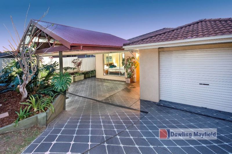 3 Shelley Close, Mayfield NSW 2304, Image 0