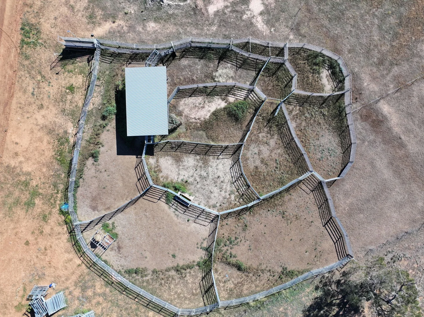 Image 15