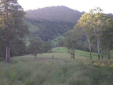 Picture of OWENS CREEK QLD 4741