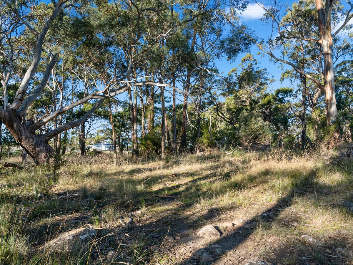 Image 10