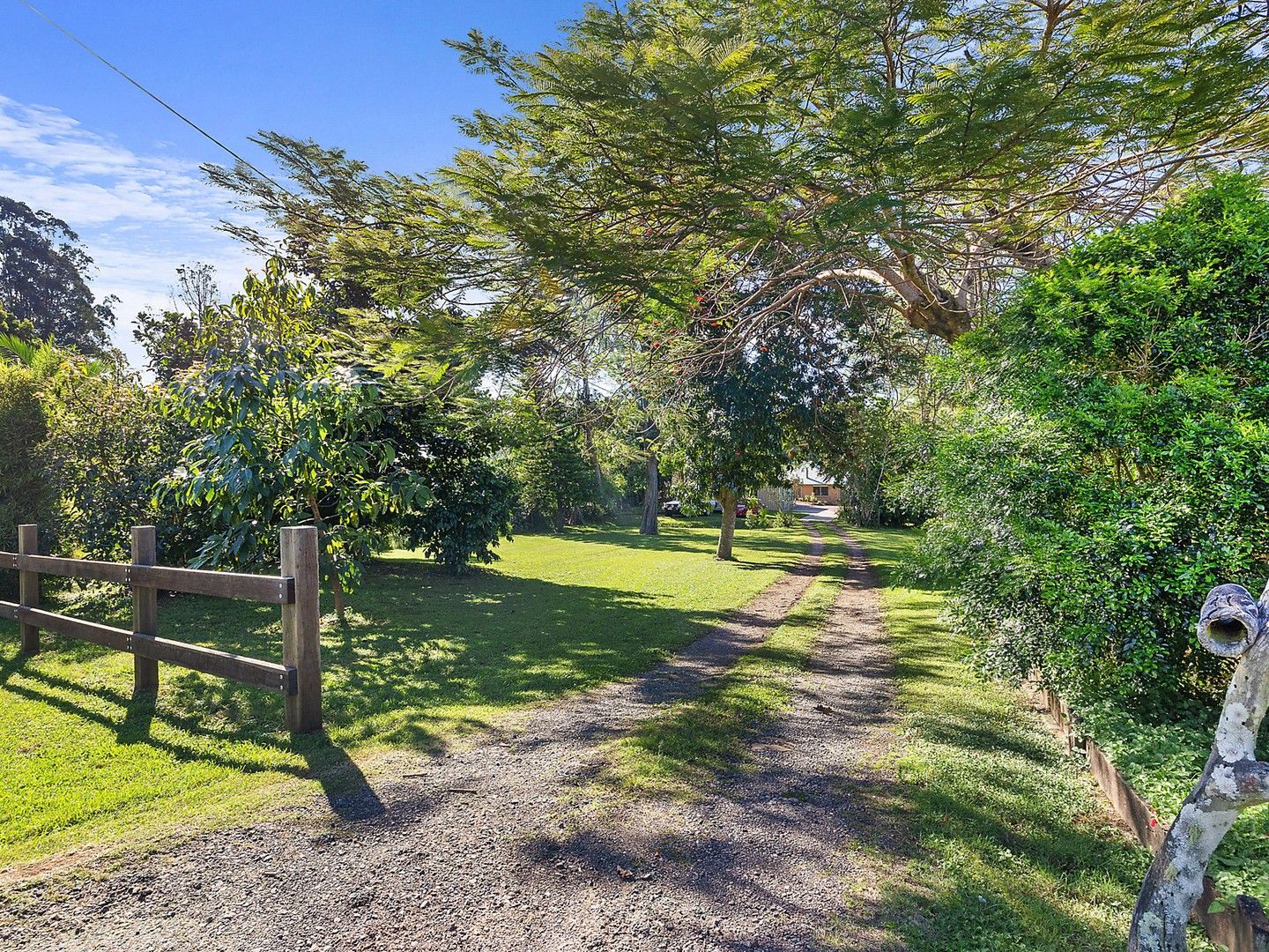 36 Lingard Street, Palmwoods QLD 4555, Image 0