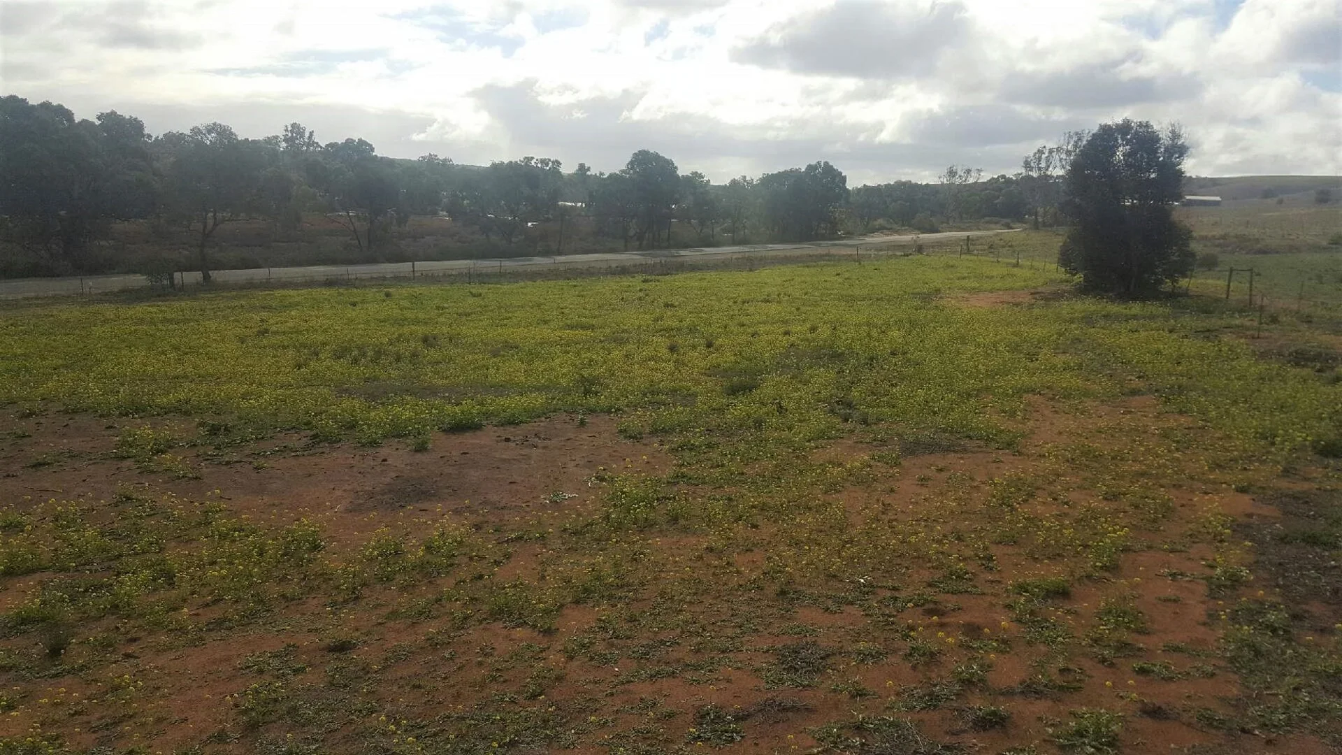 Image 11
