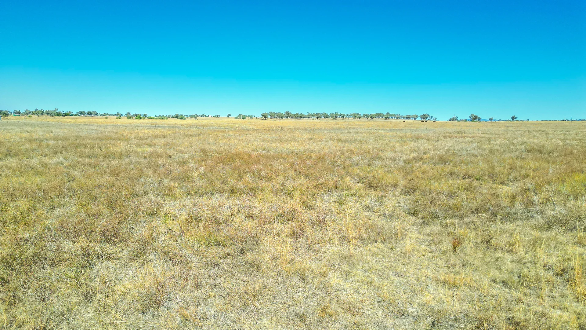 Additional image 16 of 123 New Winton Road, Tamworth NSW 2340
