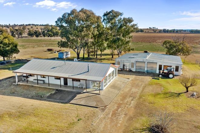 Picture of 323 Borambil Road, BORAMBIL NSW 2343