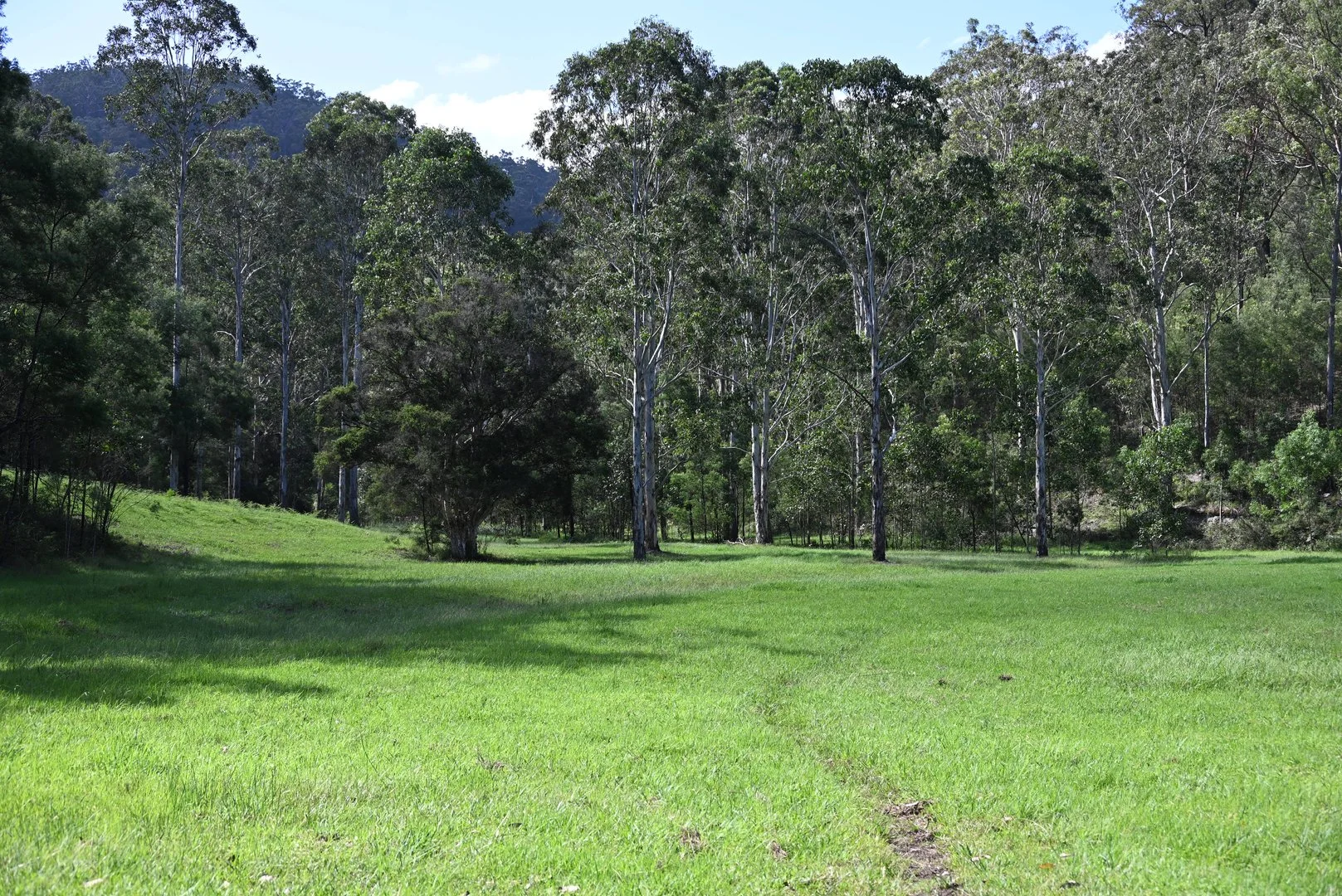 Additional image 28 of Upper Yango Ck Rd, Laguna NSW 2325