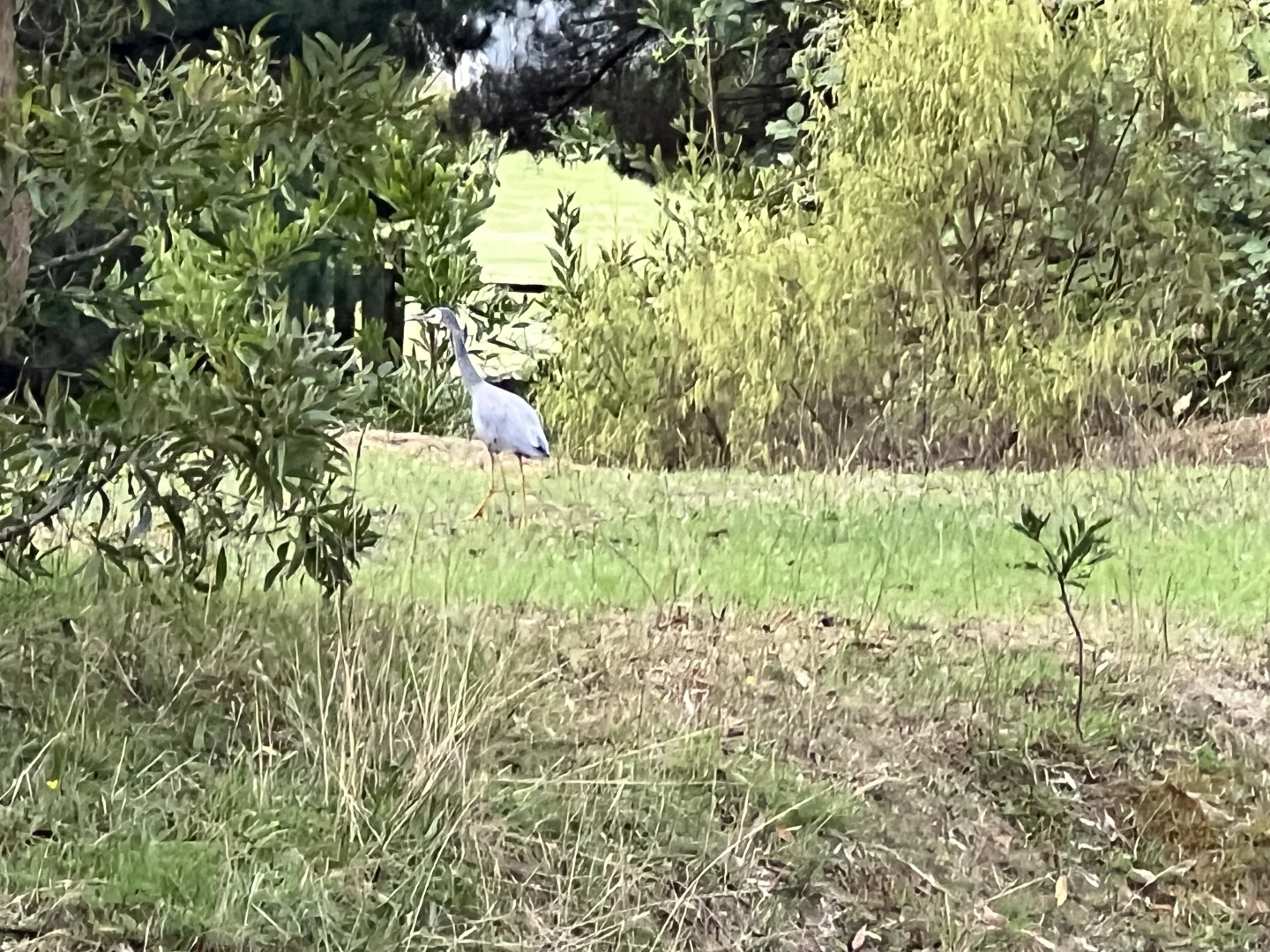 Additional image 9 of Lot 2 Forbes Road, Macedon VIC 3440