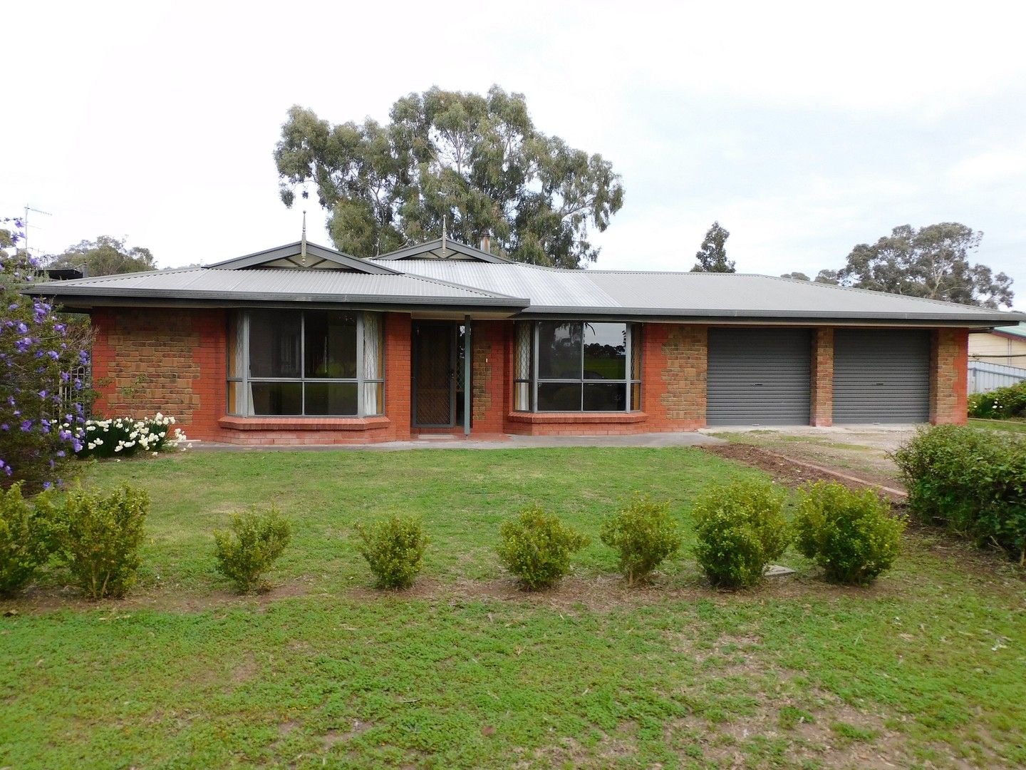 33 Creecoona Terrace, Bordertown SA 5268, Image 0