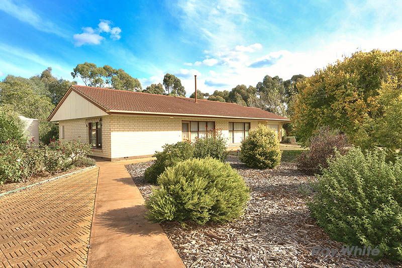 Lot 13 Fourth Street, Booborowie SA 5417, Image 0