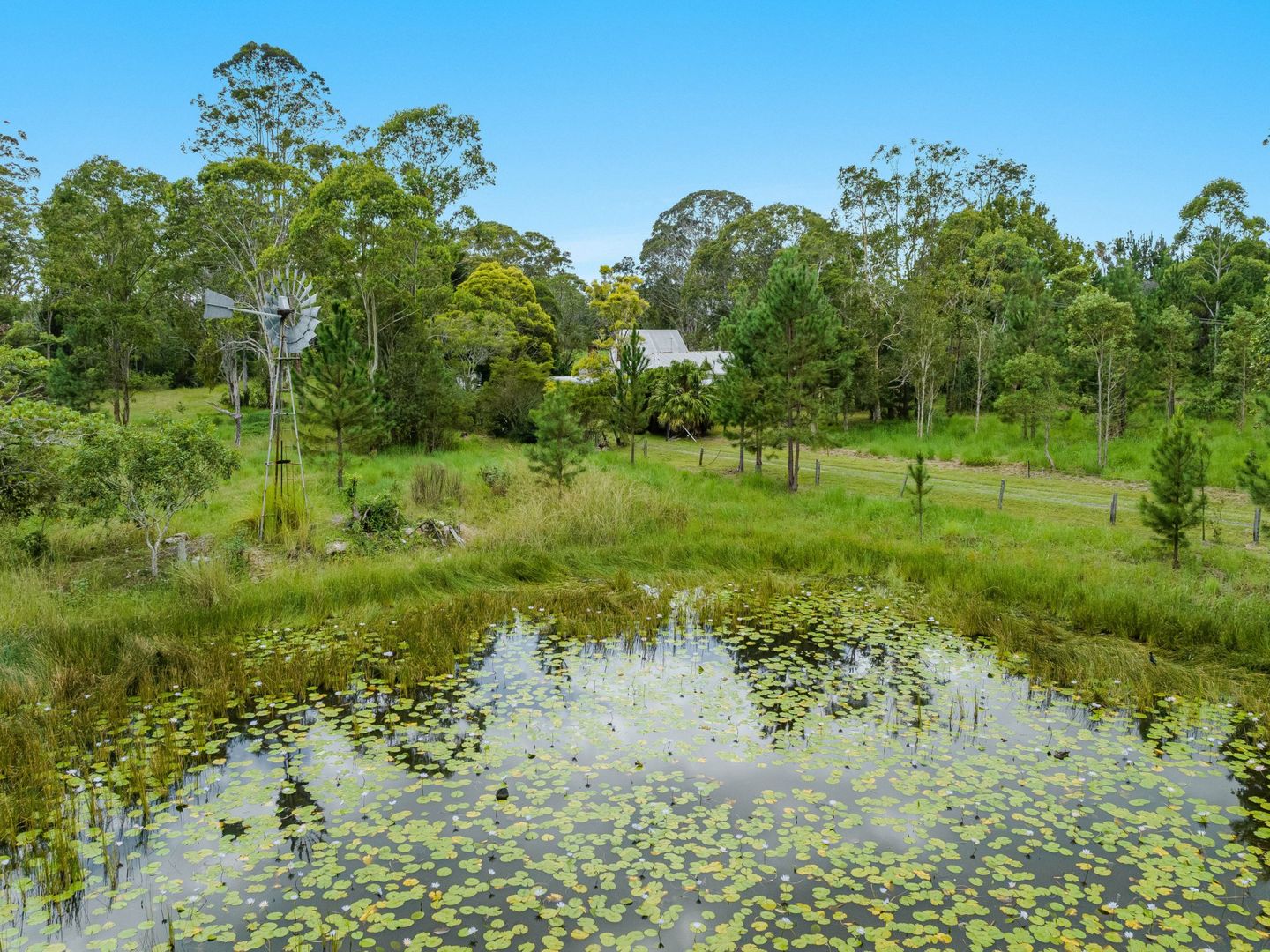 43 Struthers Road, Caniaba NSW 2480, Image 1