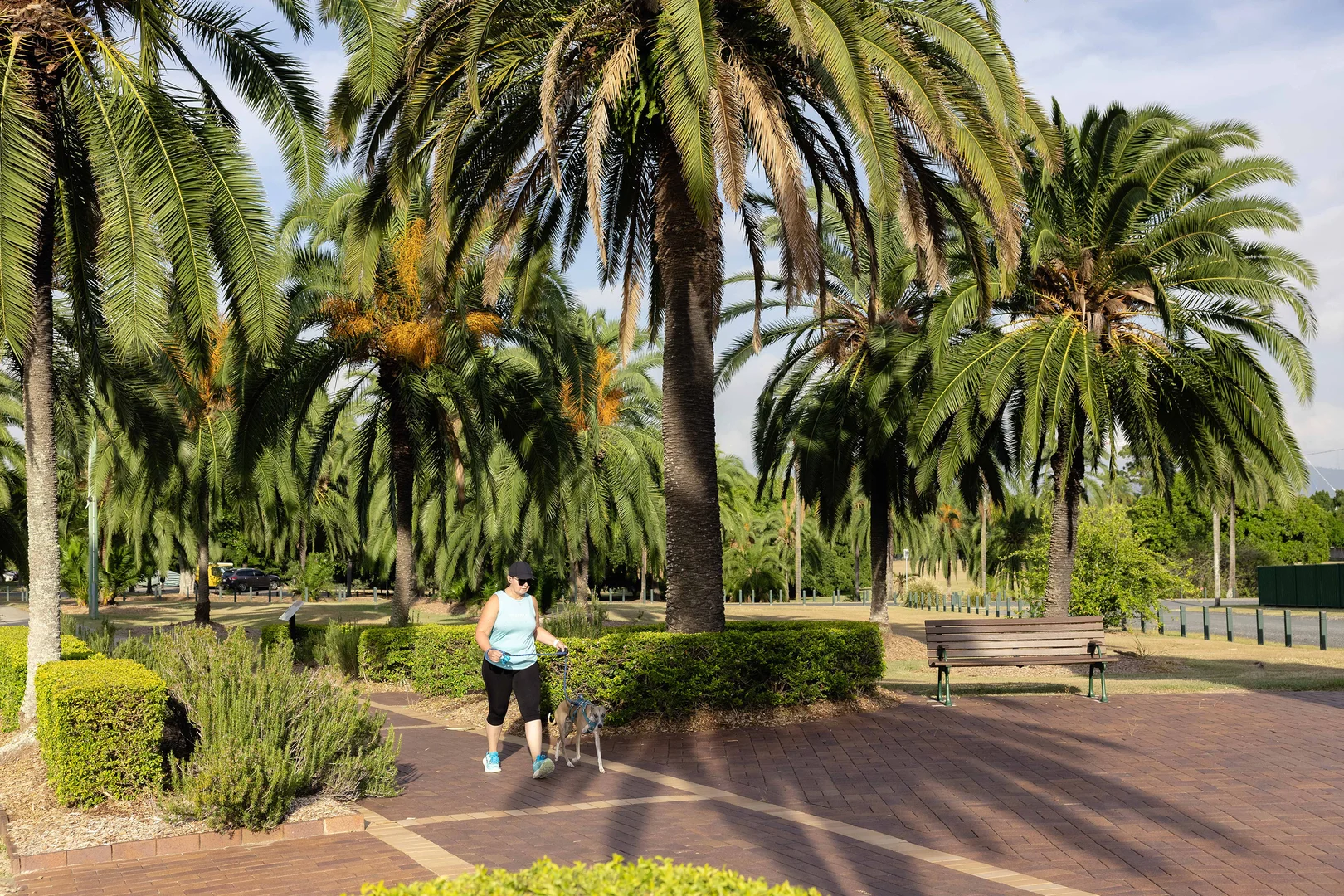 Additional image 7 of 3/35 Shottery Street, Yeronga QLD 4104