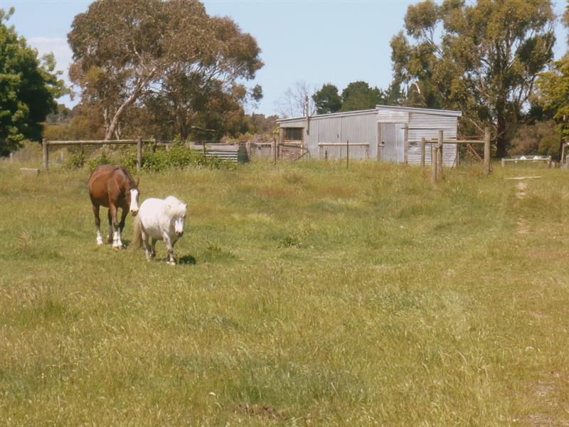 South Street, BEAUFORT VIC 3373, Image 2