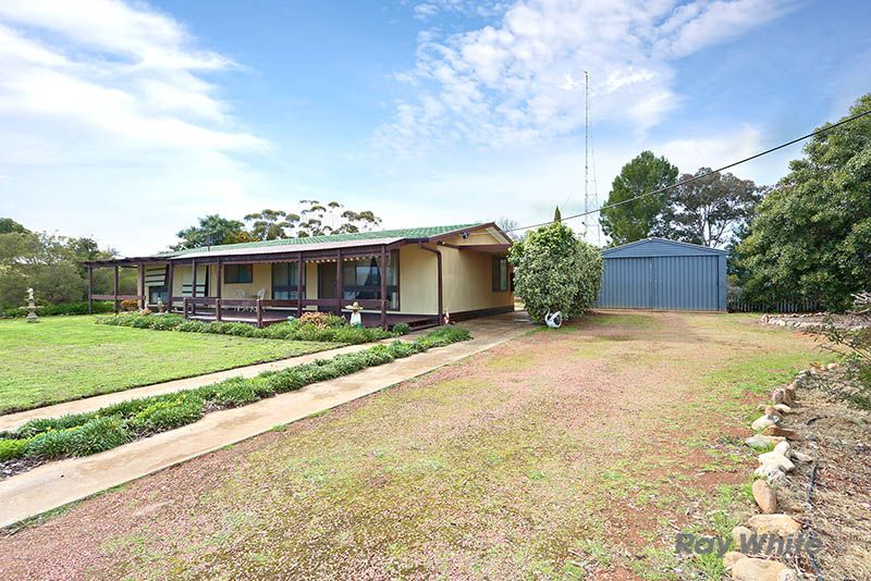 24 East Terrace, BRINKWORTH SA 5464, Image 1