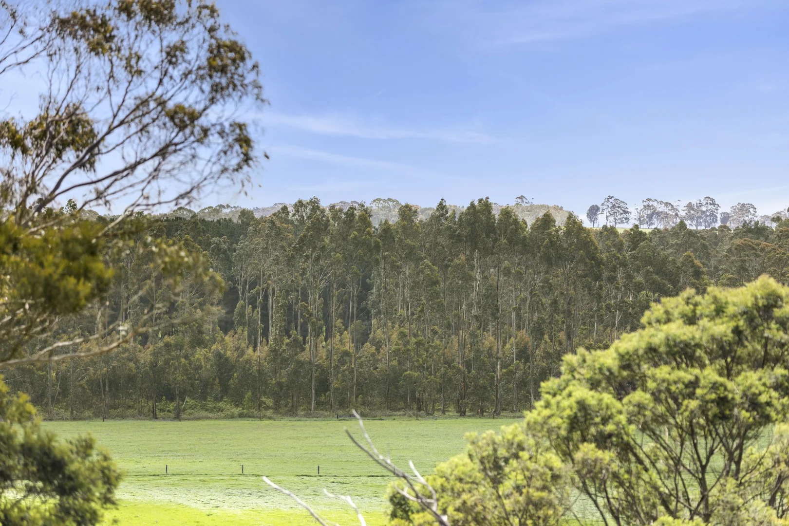 Additional image 14 of 100 Bambra Cemetery Road, Deans Marsh VIC 3235