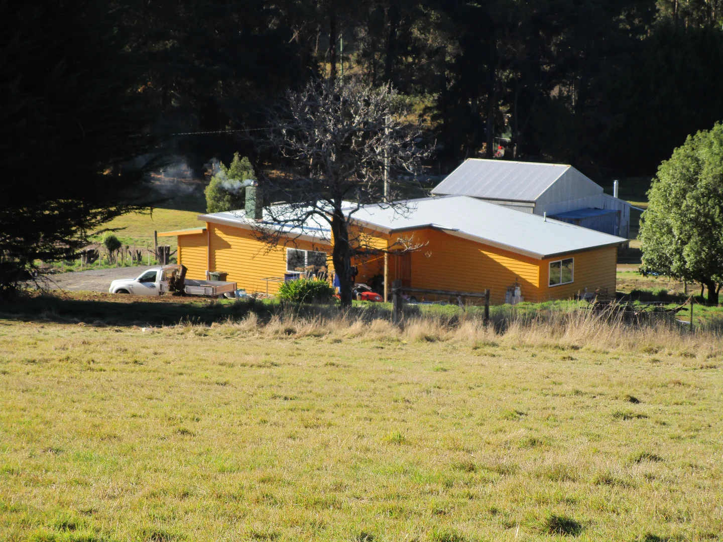 Image 4