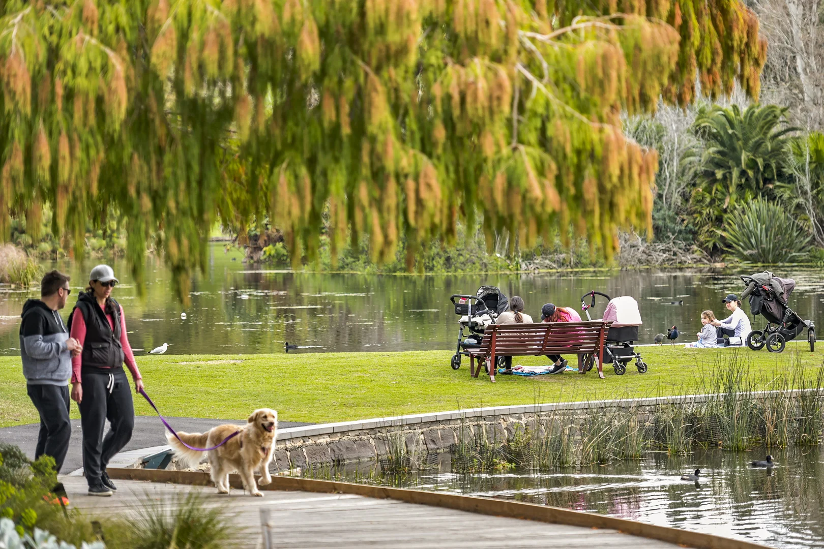 Additional image 6 of 5/222 Walsh Street, South Yarra VIC 3141