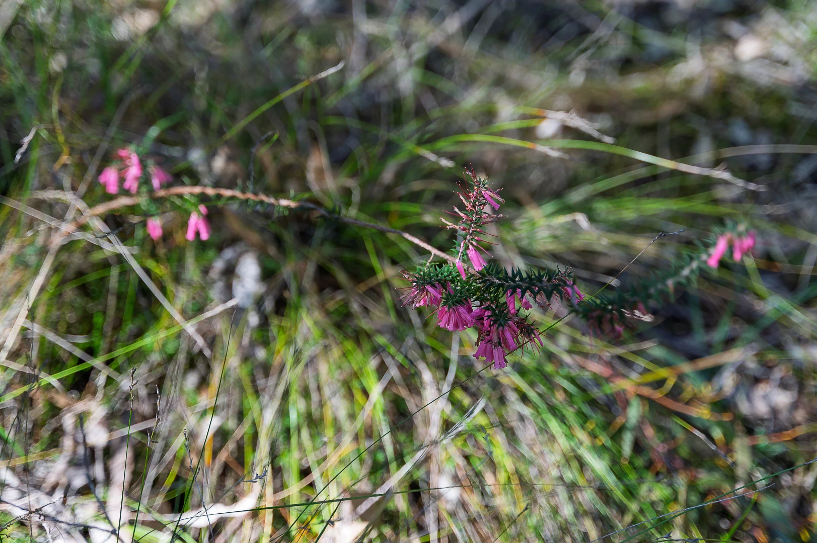 Image 18