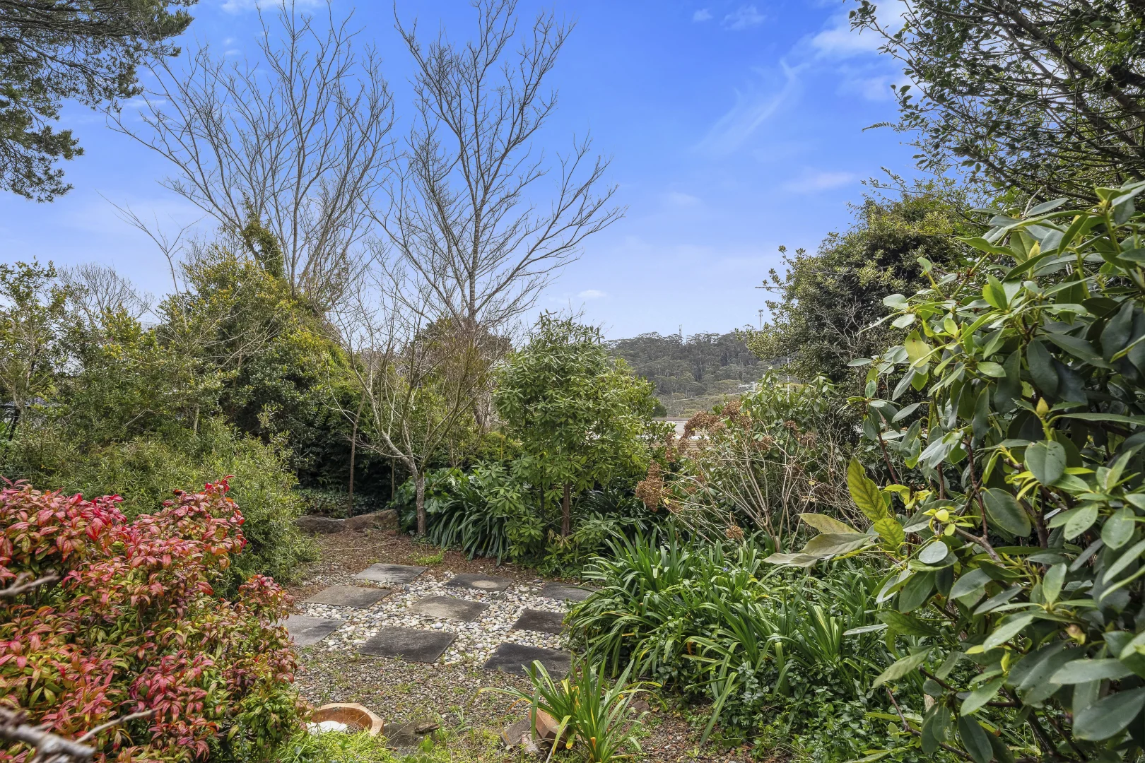 Image 15