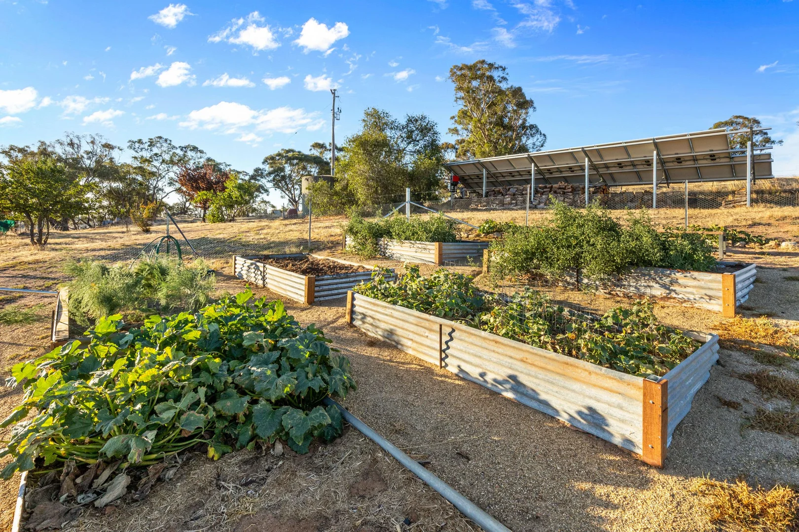 Additional image 22 of 278 Burkes Creek Road, Wagga Wagga NSW 2650