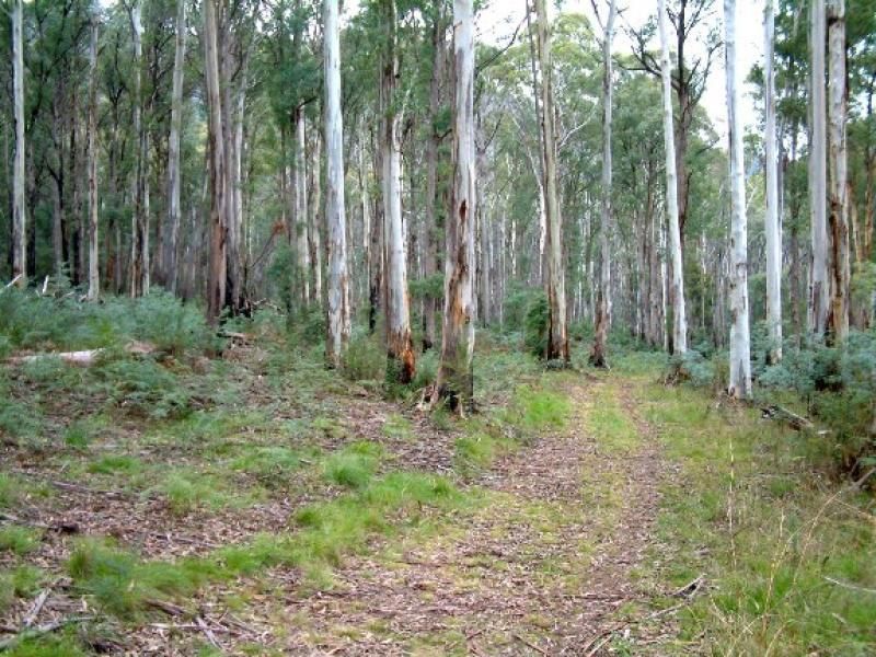 Lot 1 Dredgehole Lane, HARRIETVILLE VIC 3741, Image 1