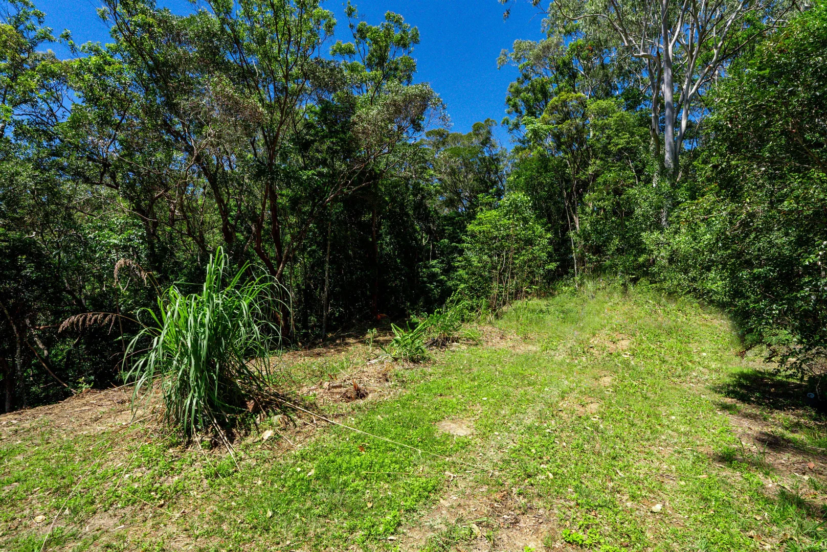 Additional image 17 of 108 Windy Hollow Road, Kuranda QLD 4881