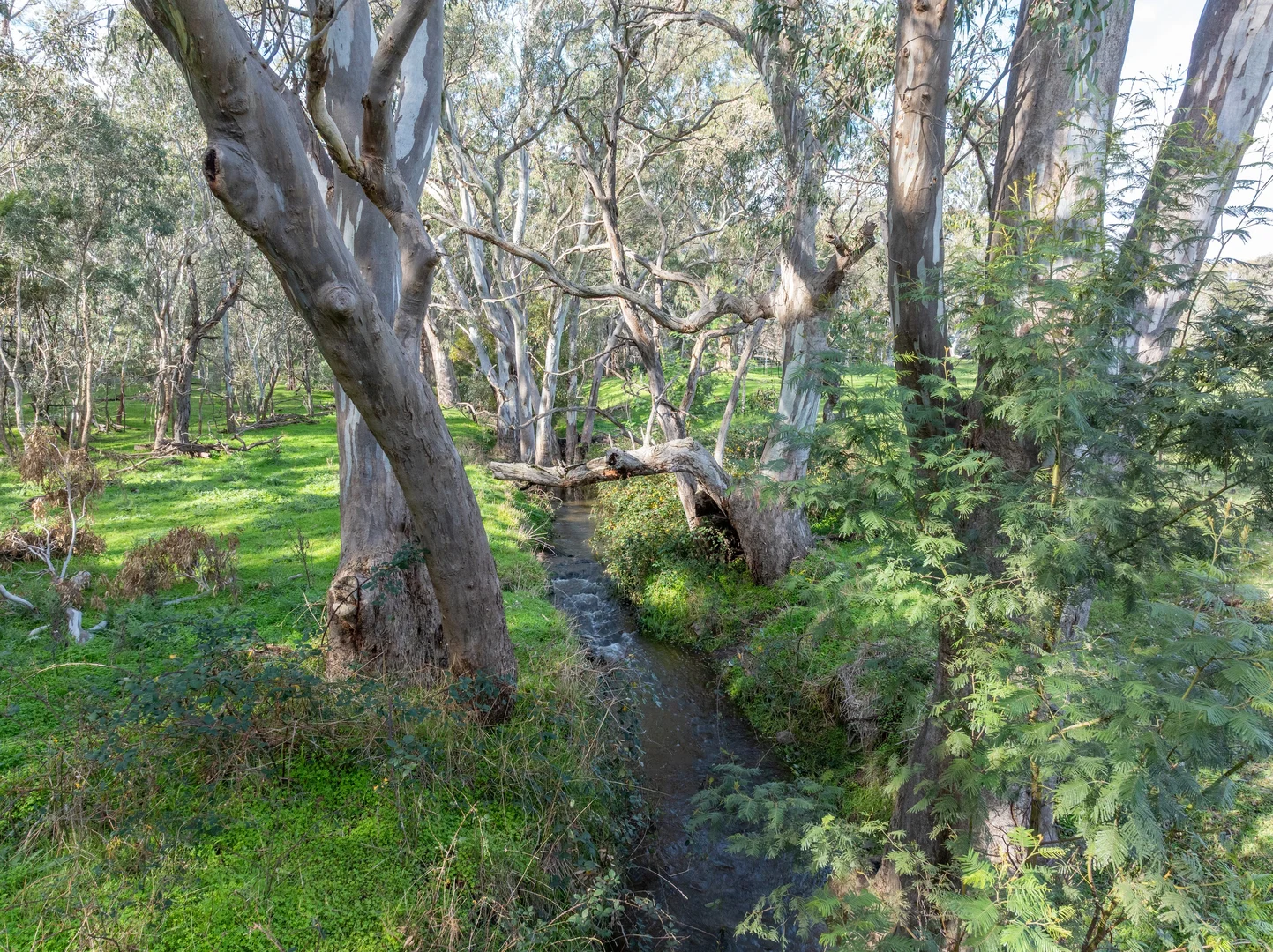 Image 41