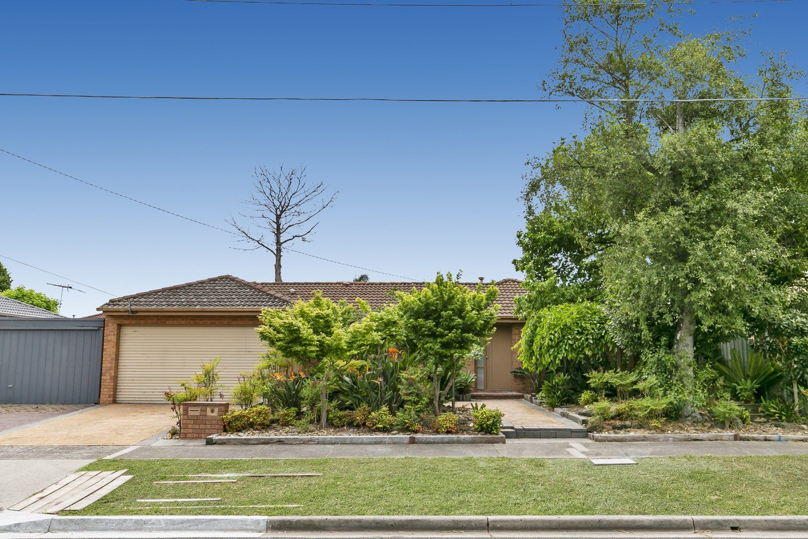 43 Tyntynder Drive, Carrum Downs VIC 3201, Image 1