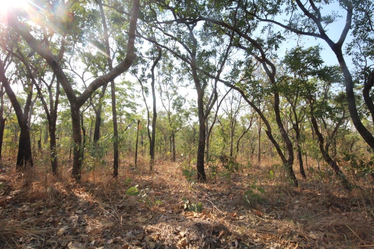 1485 Leonino Road, Darwin River NT 0841, Image 0