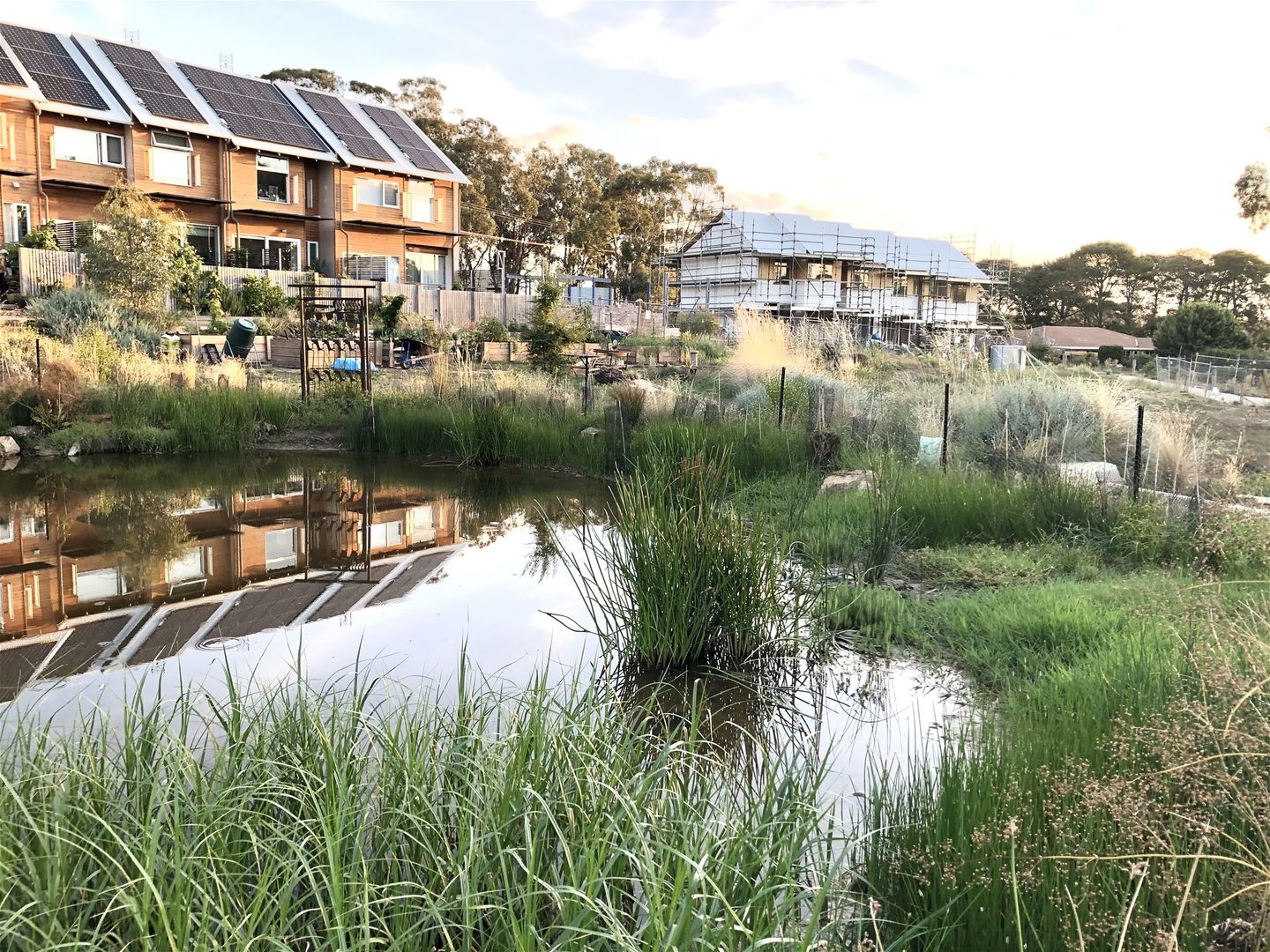 19 Reckleben Street, Castlemaine VIC 3450 Domain