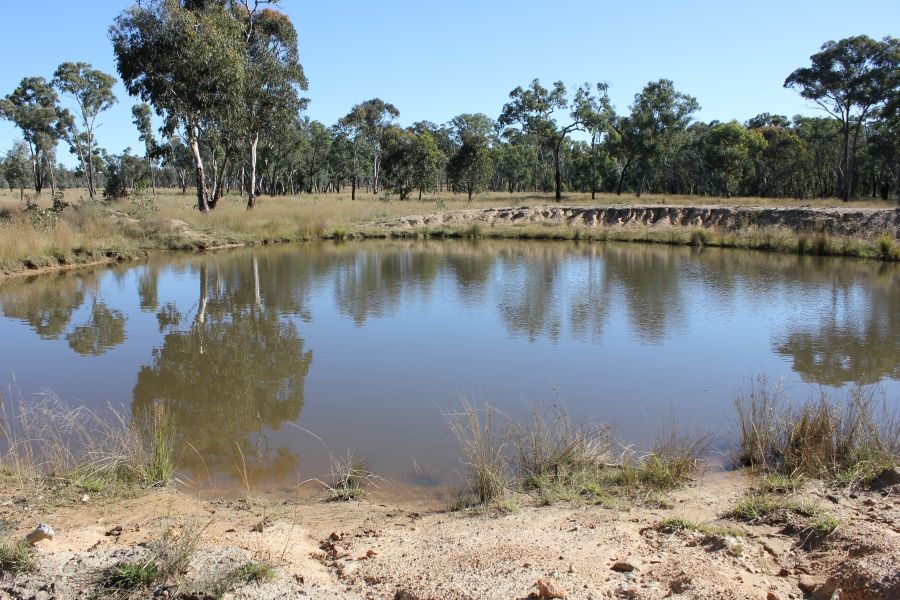 Thistledoo 14371 Guyra Rd, Tingha NSW 2369 House for Sale 399,000