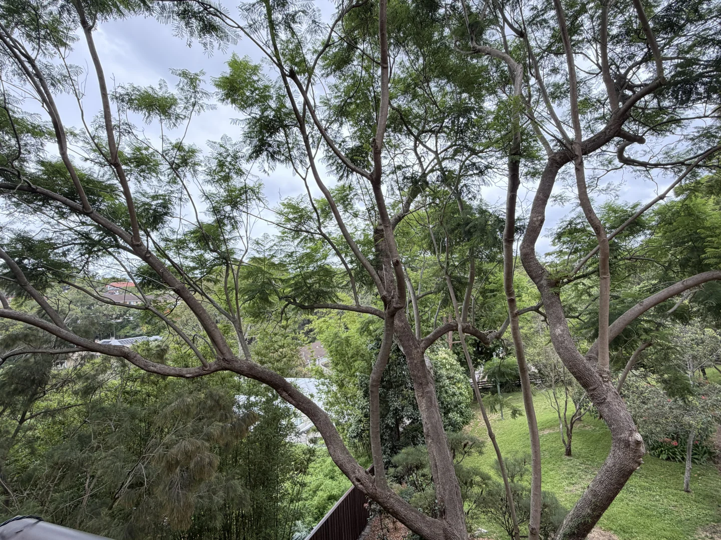 Additional image 7 of Marks St, Naremburn NSW 2065