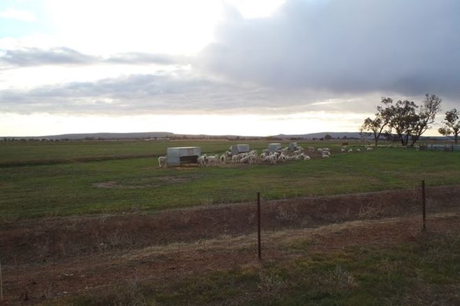 Picture of FARM 209 KOONADAN ROAD, LEETON NSW 2705