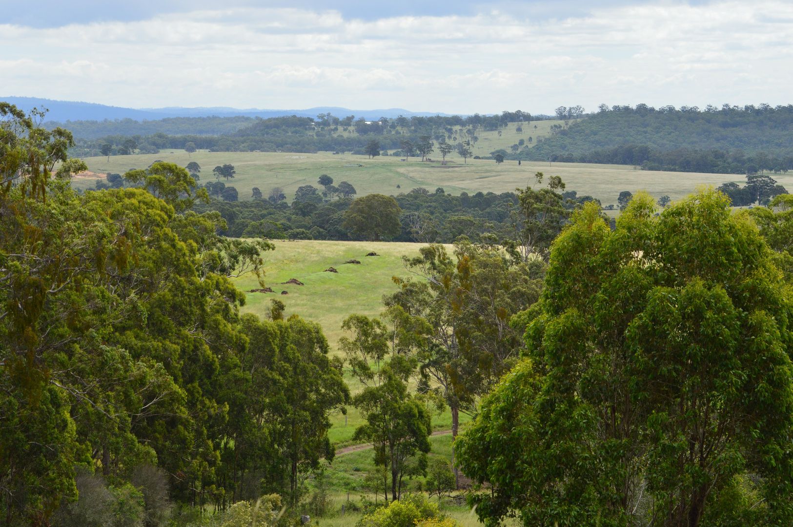 231 Homan Road, Killarney QLD 4373 Vacant Land for Sale 550,000