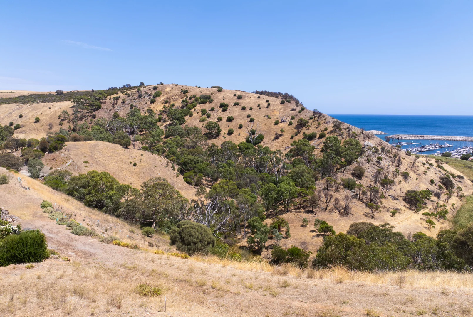 Image 10