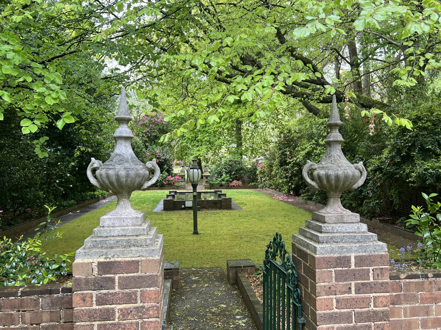 Image 19