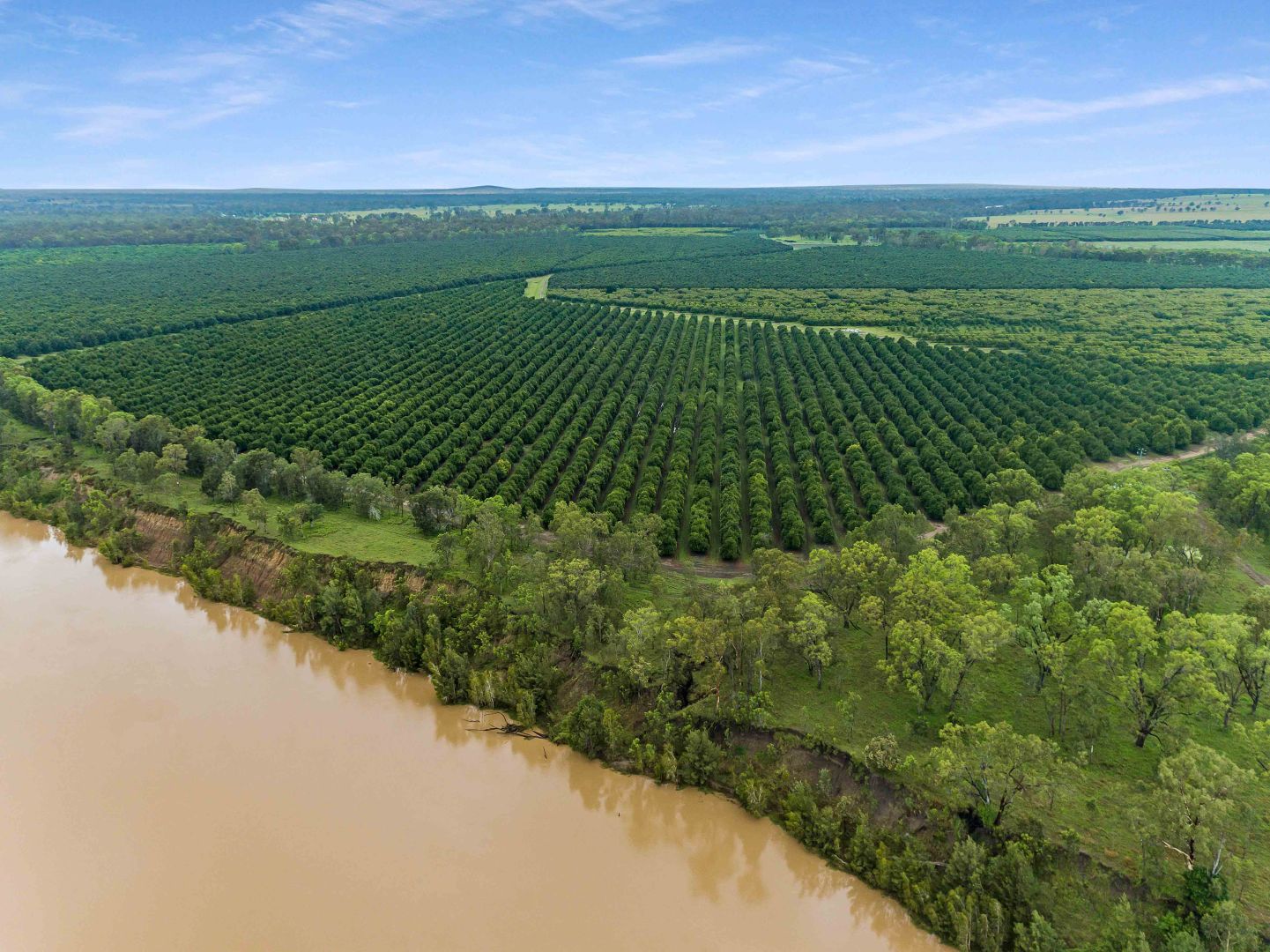 1448 South Yaamba Road, South Yaamba QLD 4702 House for Sale