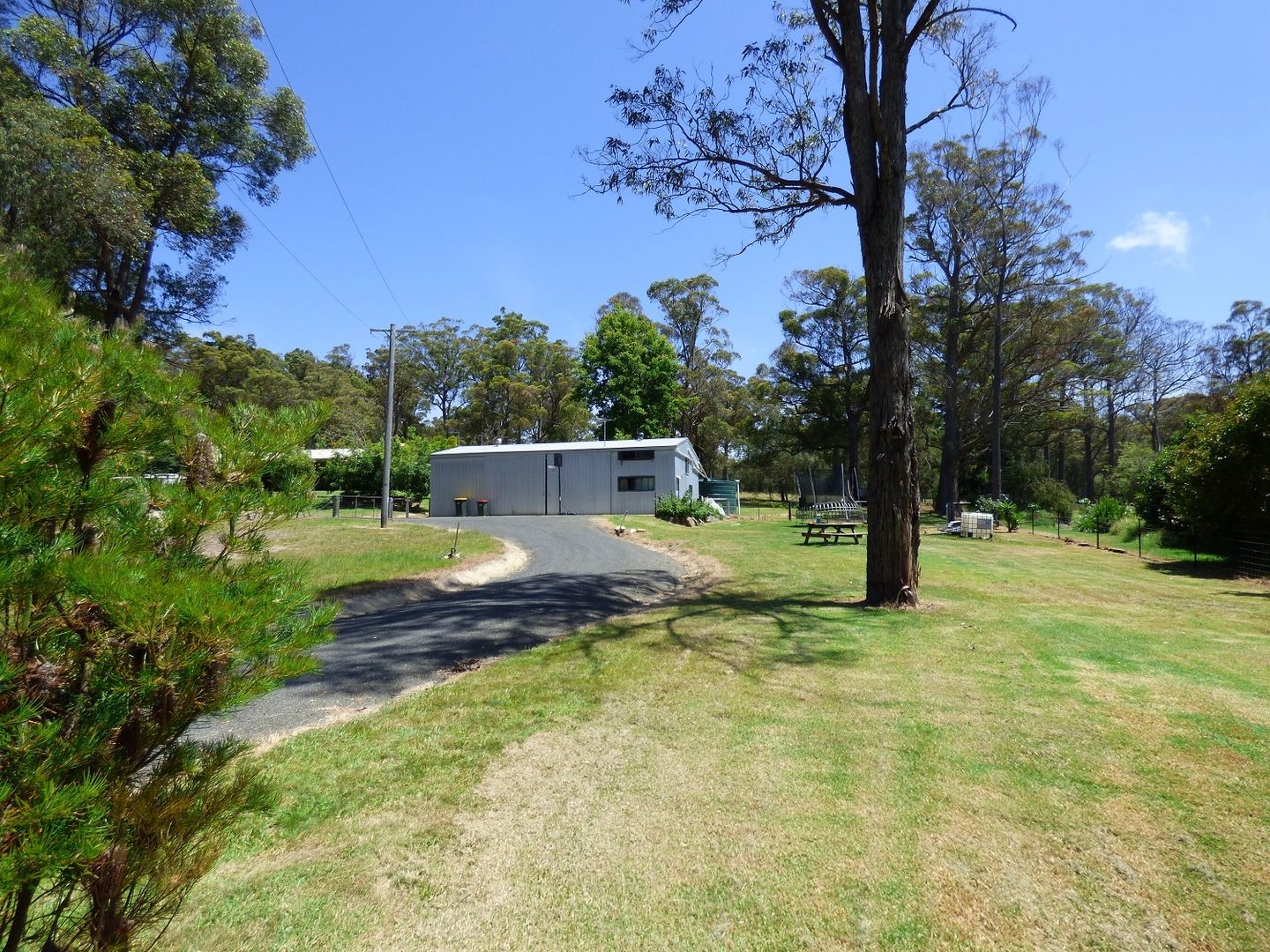 1559 Nethercote Rd, GRIEGS FLAT Via, Pambula NSW 2549, Image 2