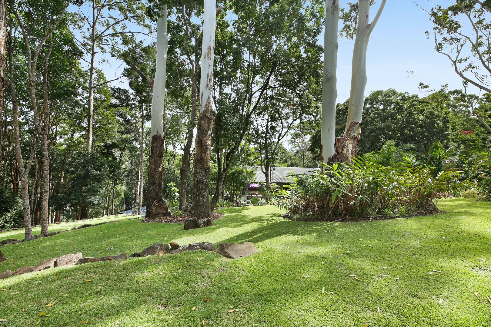 Additional image 34 of 614-616 Binna Burra Road, Beechmont QLD 4211