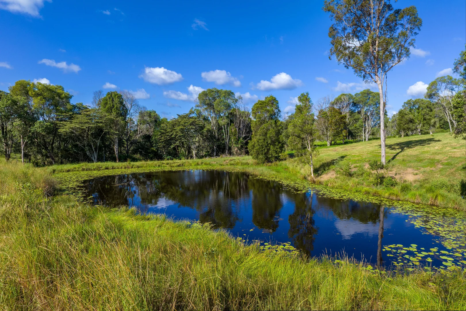 Additional image 24 of 226 Tandur Traveston Road, Traveston QLD 4570