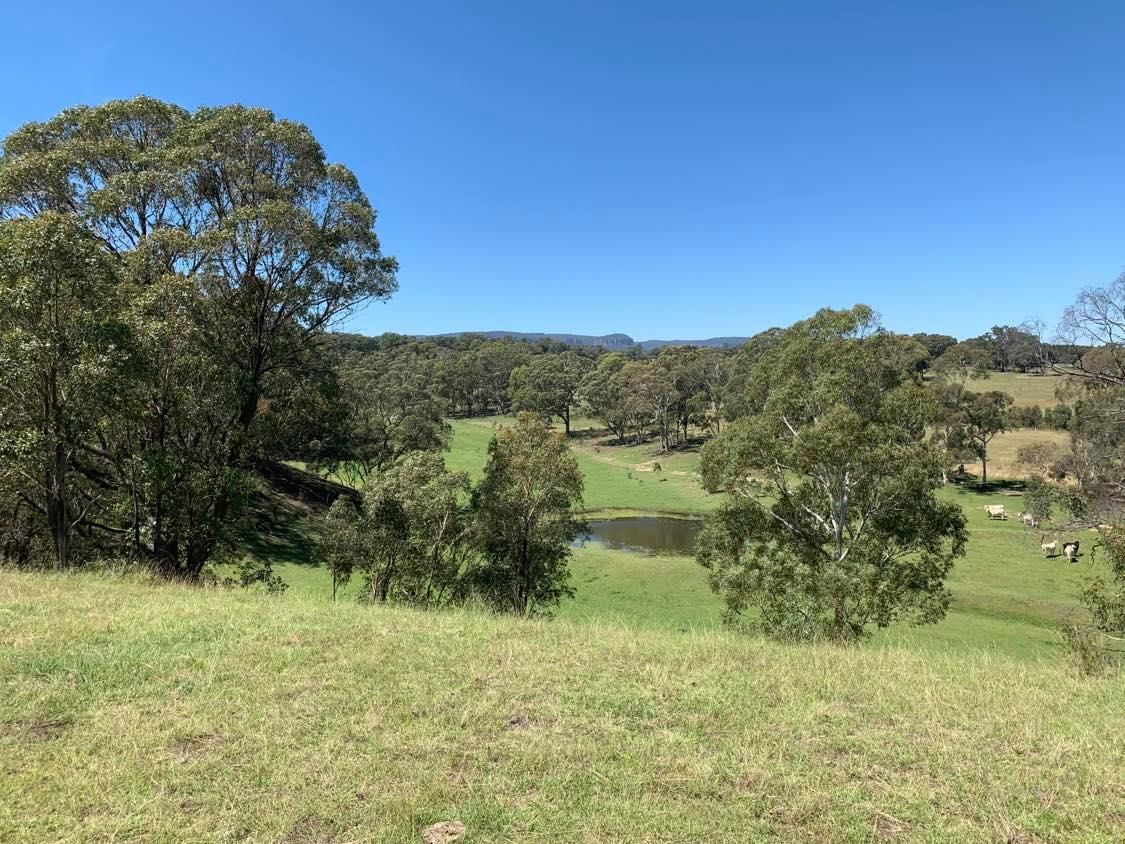 423 Coxs River Road, Kanimbla NSW 2790, Image 2