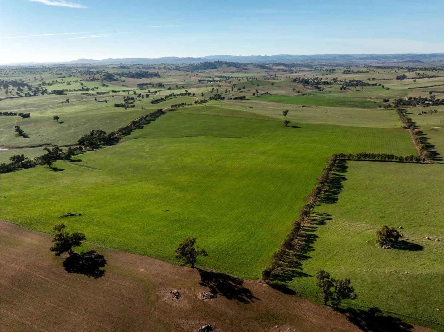 478 Illawong Road, Jugiong NSW 2726