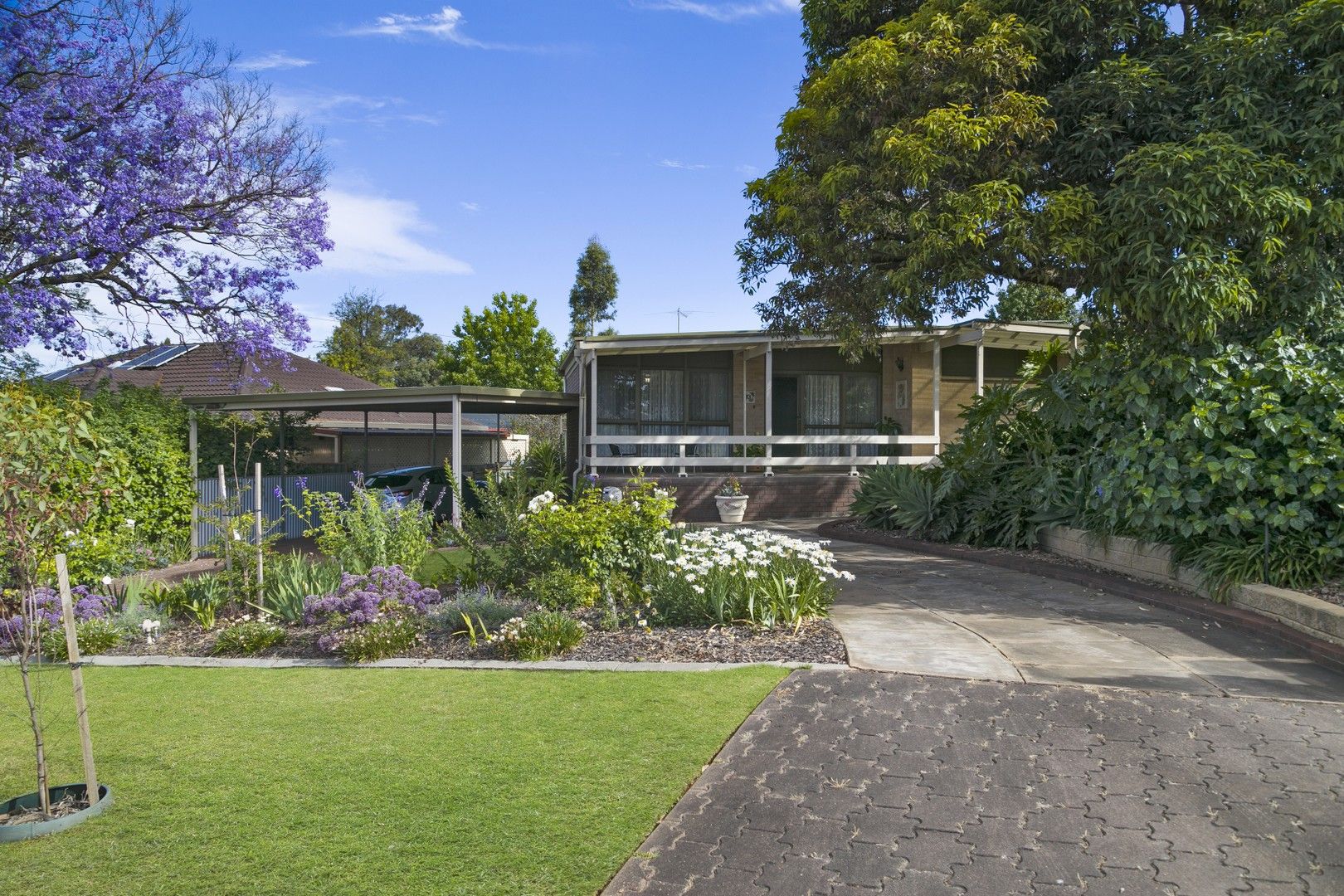 3 Woodstock Street, Valley View SA 5093, Image 0