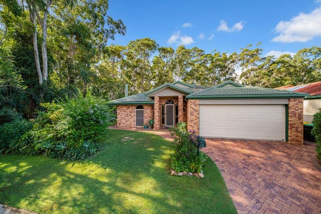 Picture of 13 Redbud Court, MOUNTAIN CREEK QLD 4557