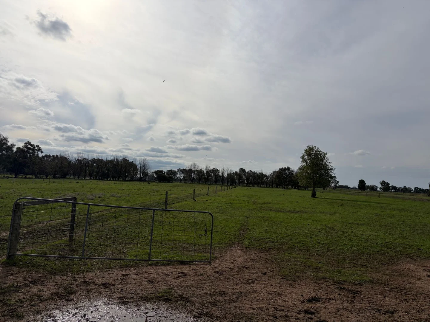 Image 14